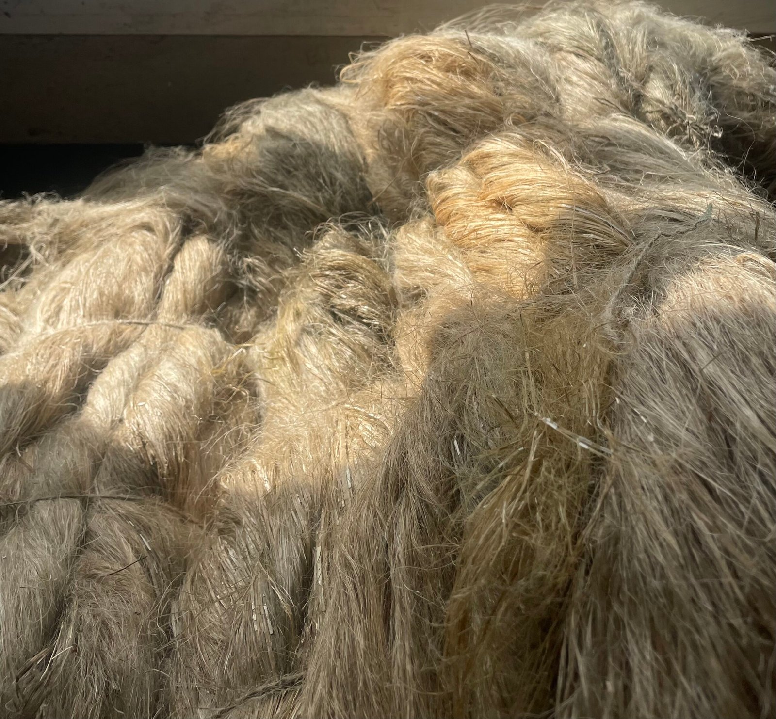 Scutched Fibre