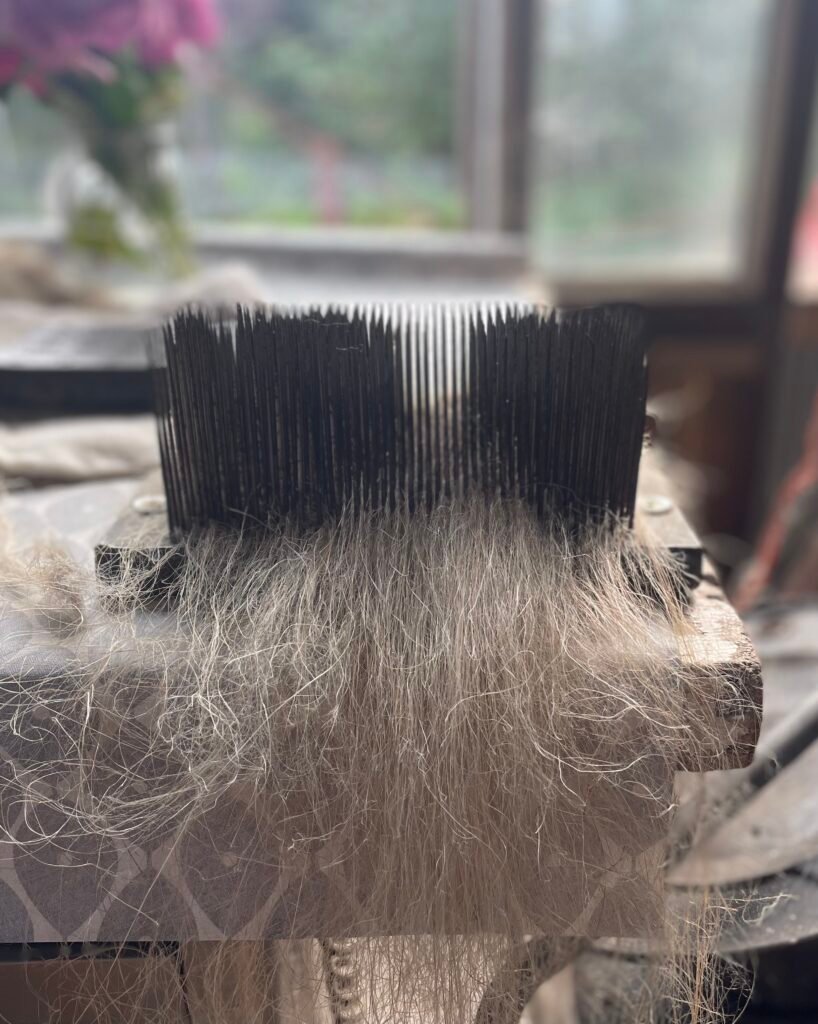 Hackling comb with flax fibres