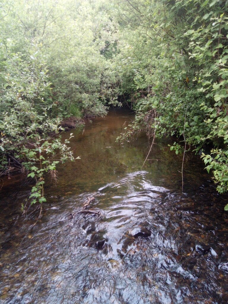 The Ballinderry River