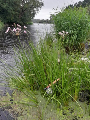 The Ballinderry River